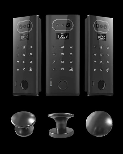3D Facial Recognition Embedded Smart Rim Lock Q1