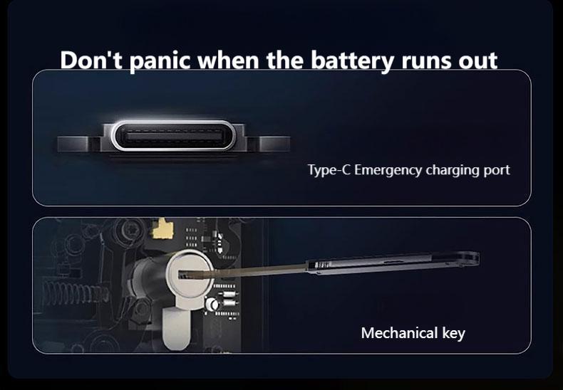 3D Facial Recognition Embedded Smart Rim Lock Q1
