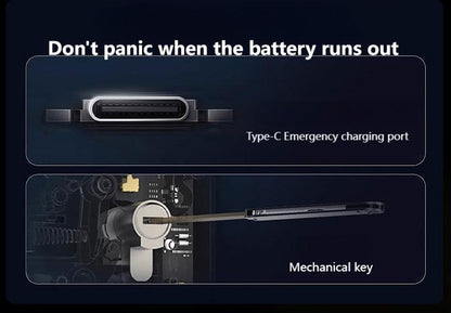 3D Facial Recognition Embedded Smart Rim Lock Q1