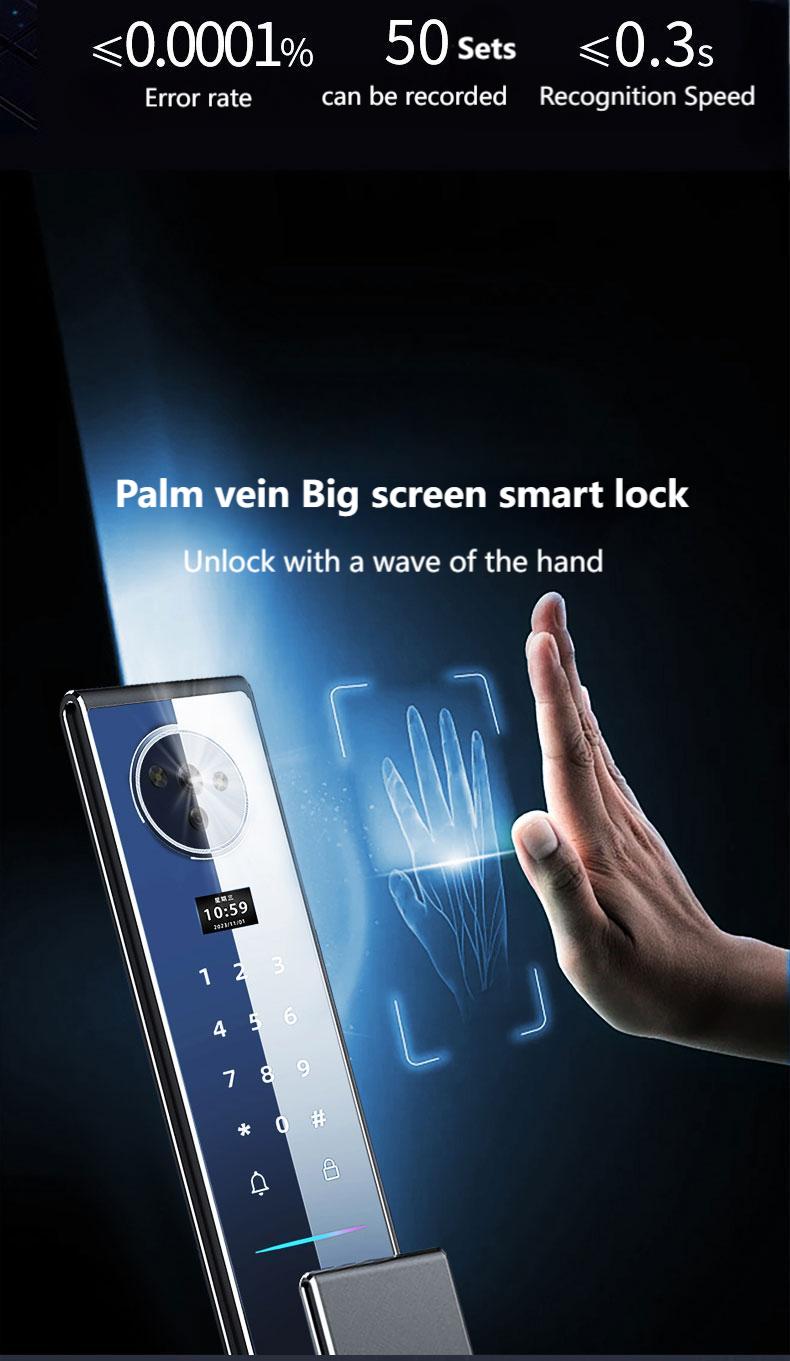 3D Facial Recognition Embedded Smart Rim Lock Q1