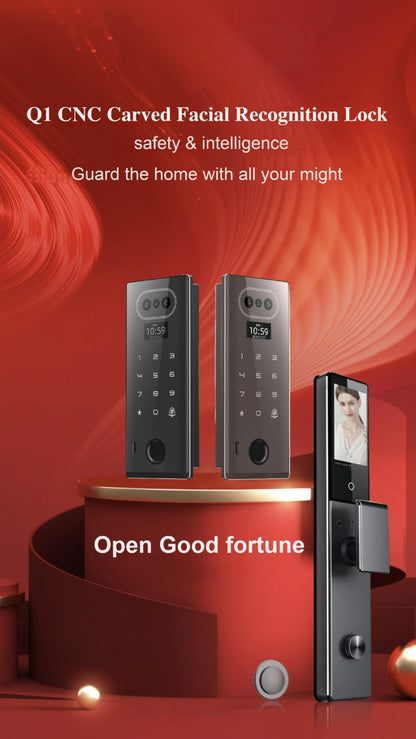 3D Facial Recognition Embedded Smart Rim Lock Q1